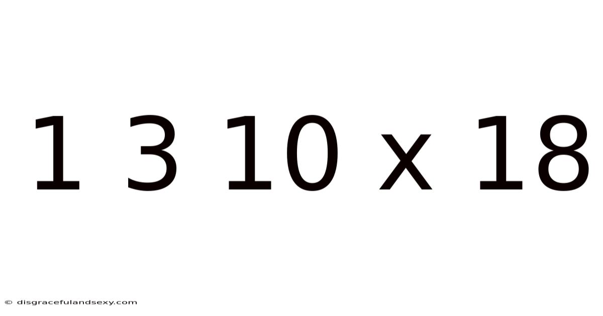 1 3 10 X 18