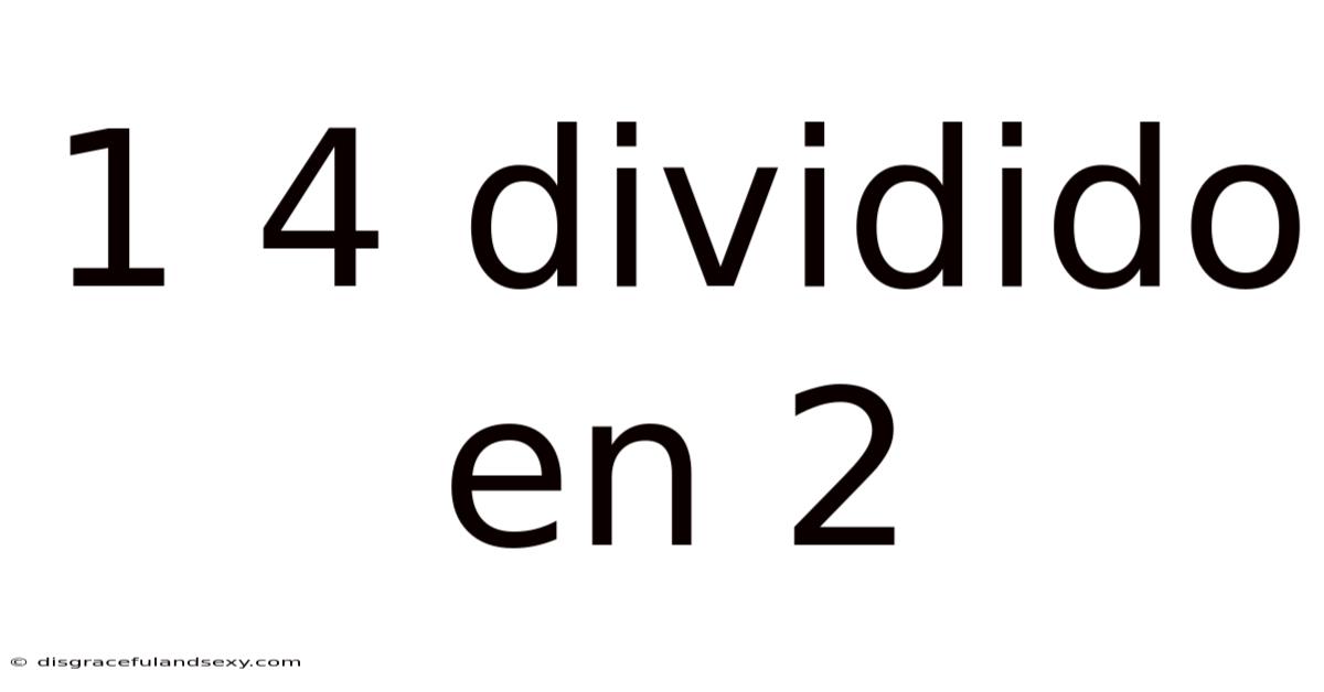 1 4 Dividido En 2