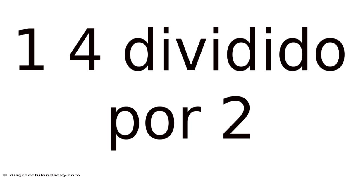 1 4 Dividido Por 2