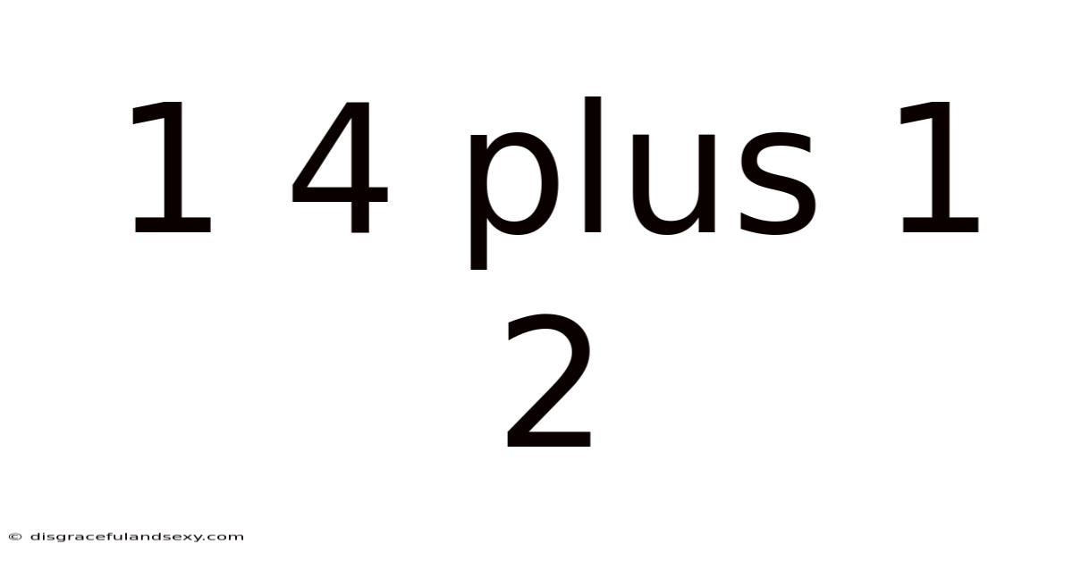 1 4 Plus 1 2
