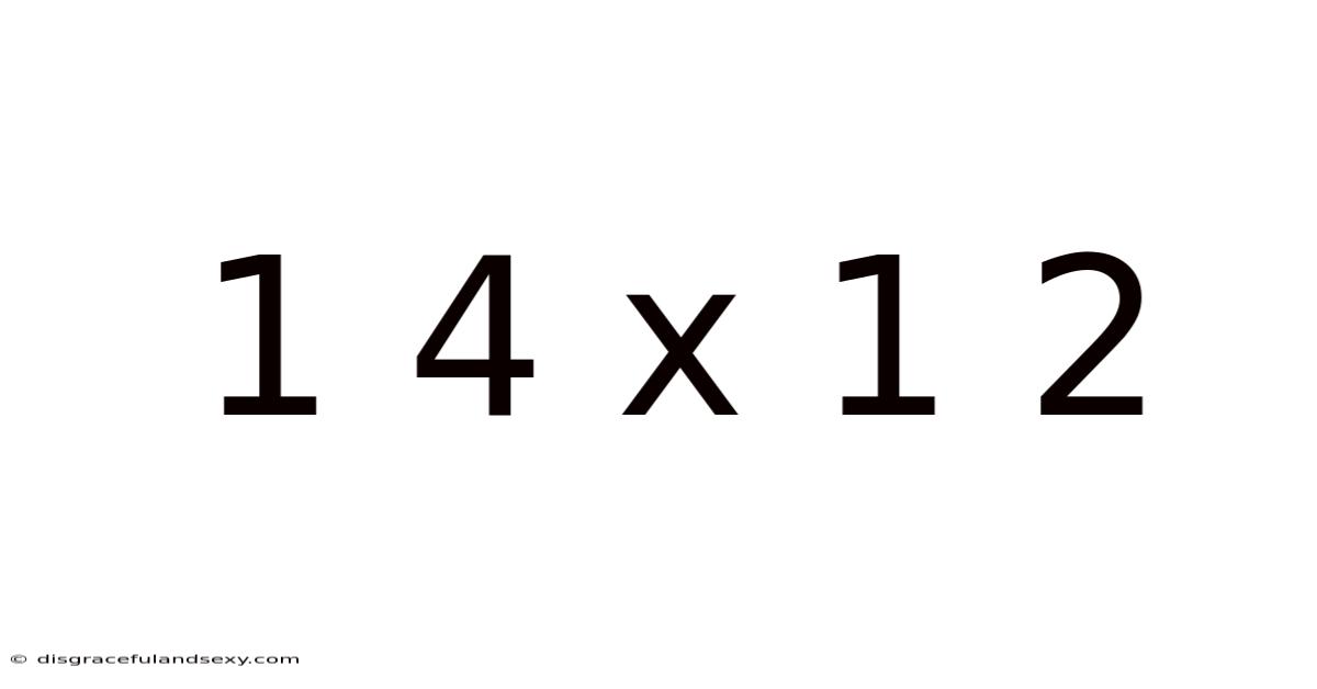 1 4 X 1 2