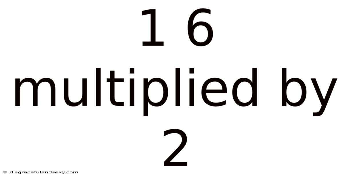 1 6 Multiplied By 2