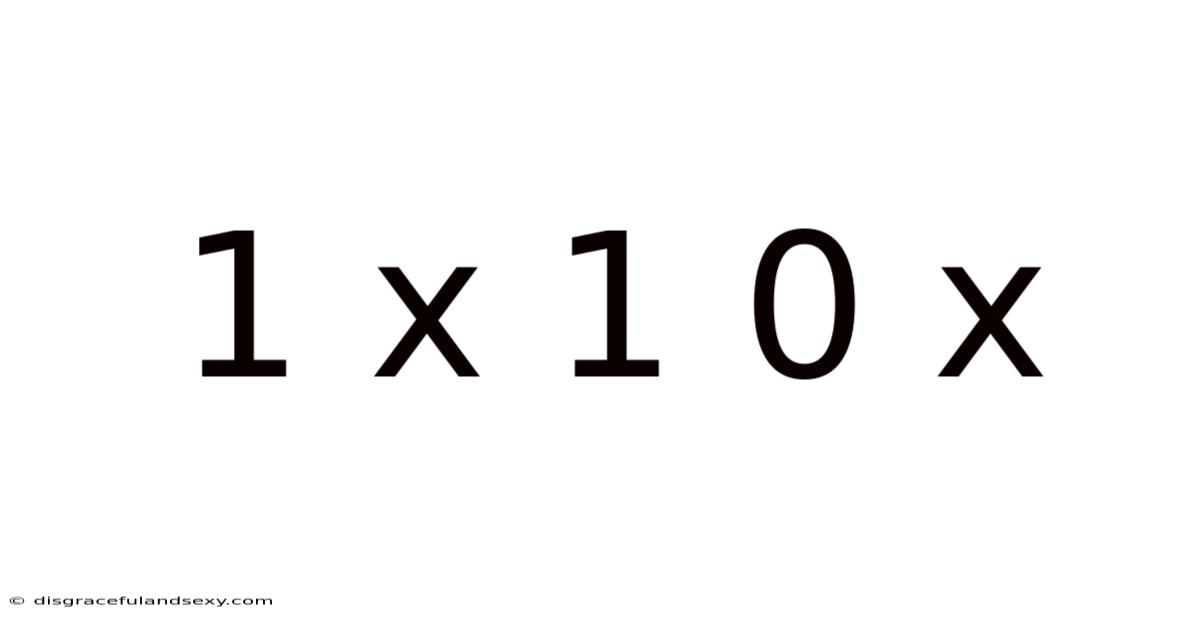 1 X 1 0 X