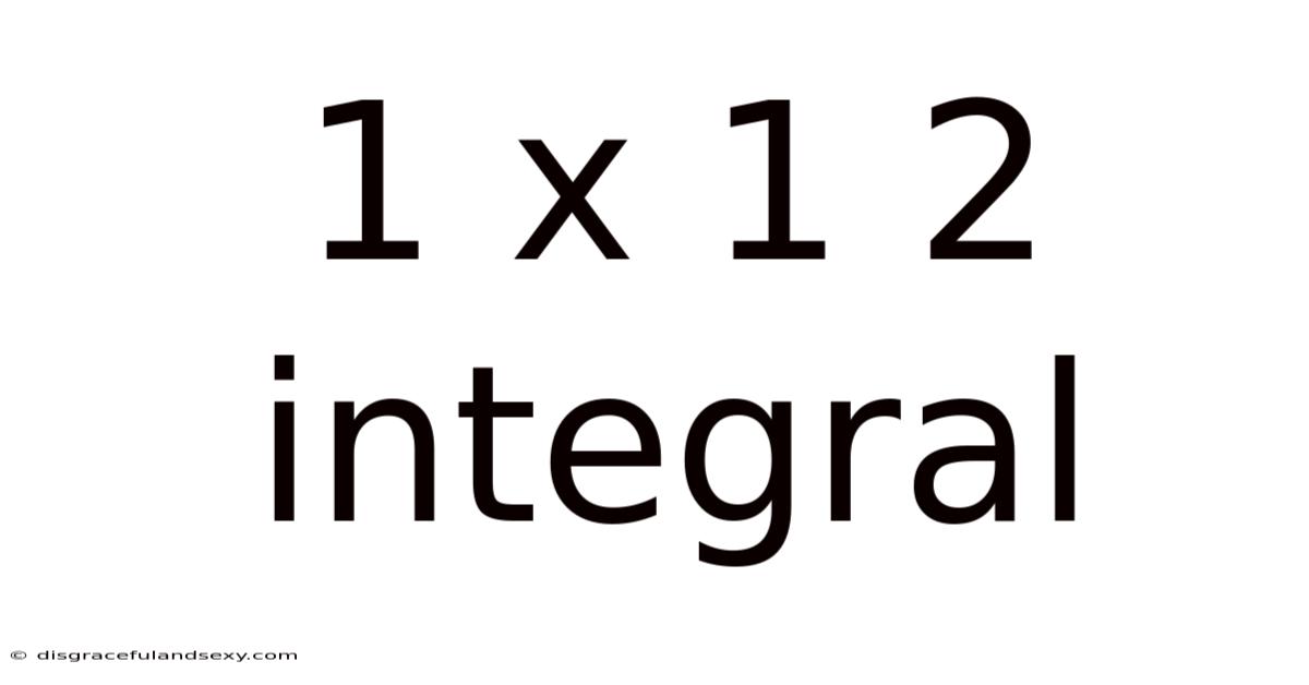 1 X 1 2 Integral