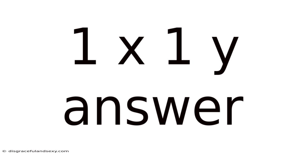 1 X 1 Y Answer