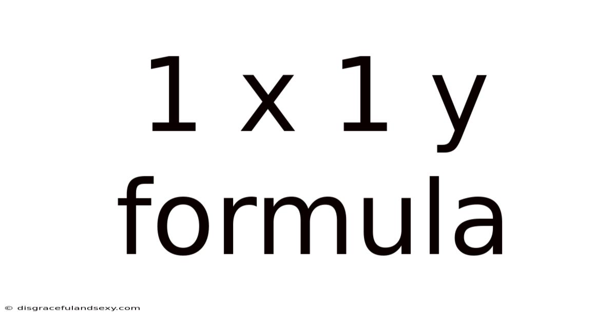 1 X 1 Y Formula