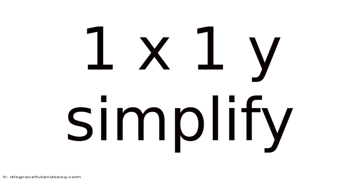 1 X 1 Y Simplify