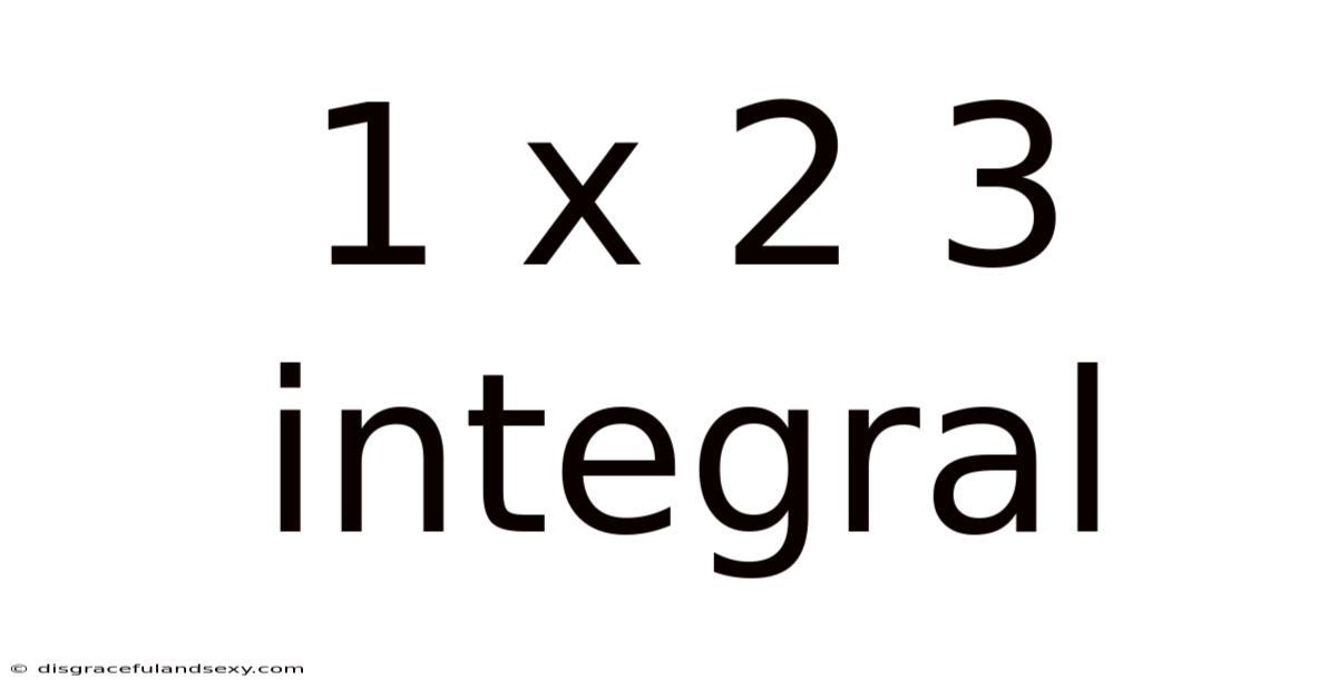 1 X 2 3 Integral