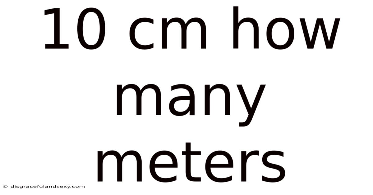 10 Cm How Many Meters
