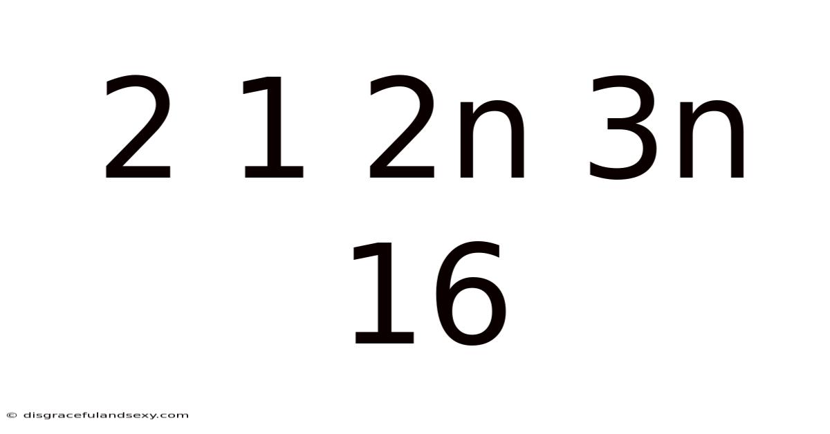 2 1 2n 3n 16