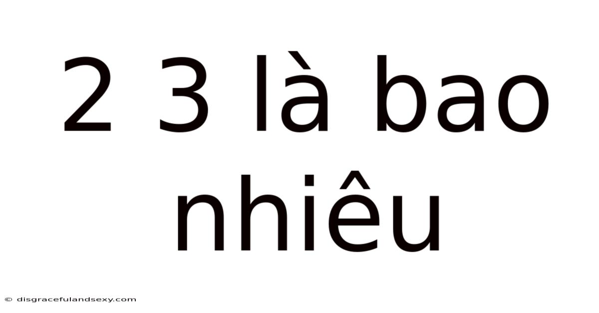 2 3 Là Bao Nhiêu