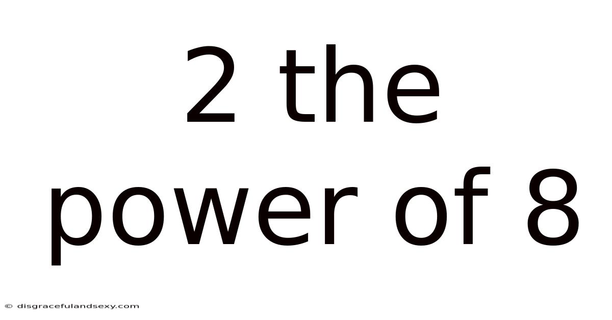 2 The Power Of 8