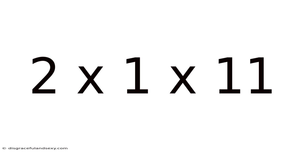 2 X 1 X 11