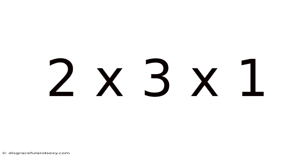 2 X 3 X 1