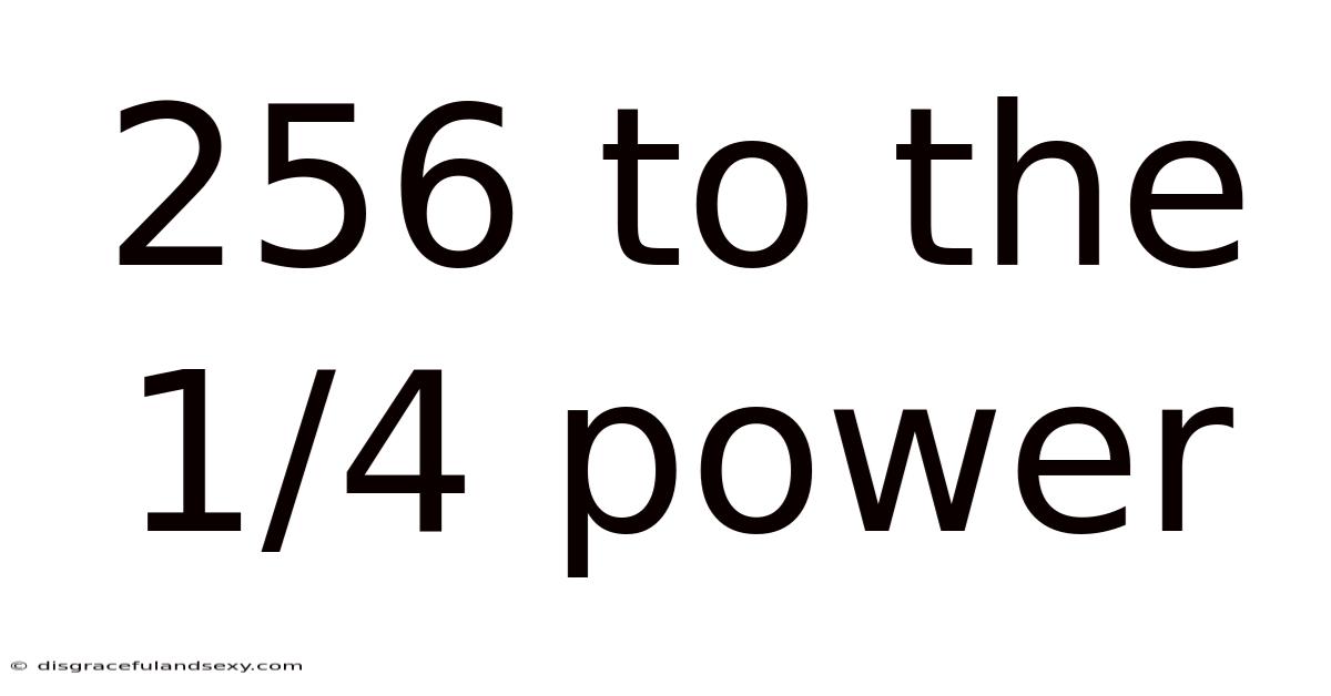 256 To The 1/4 Power