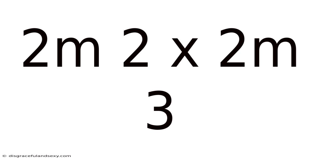 2m 2 X 2m 3