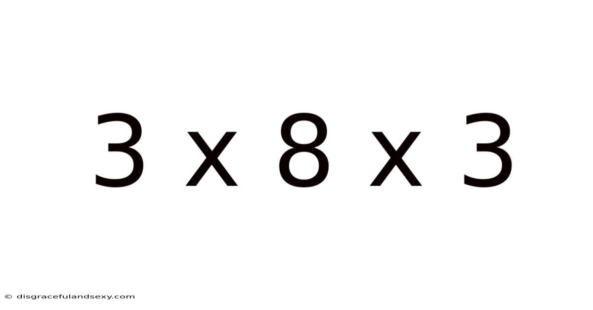 3 X 8 X 3