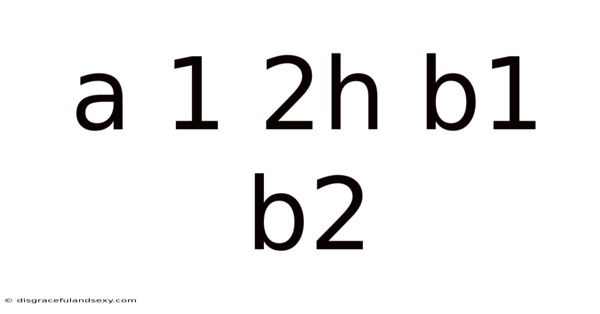 A 1 2h B1 B2