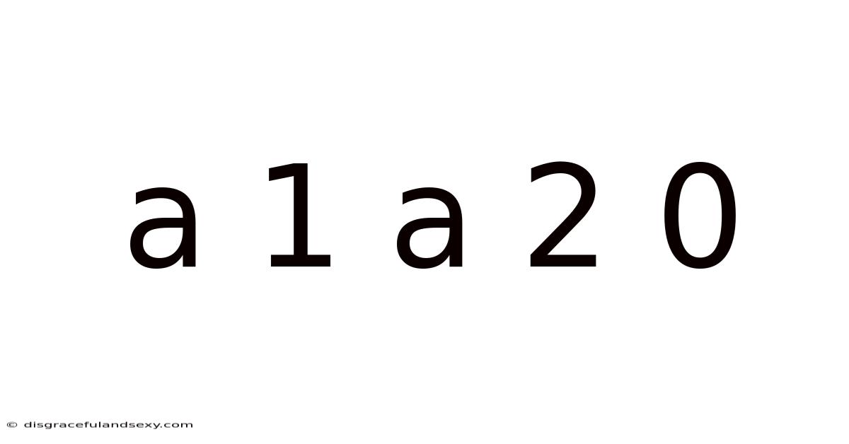 A 1 A 2 0