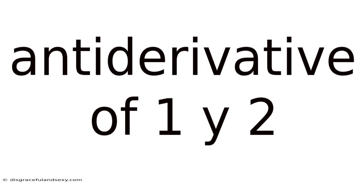 Antiderivative Of 1 Y 2