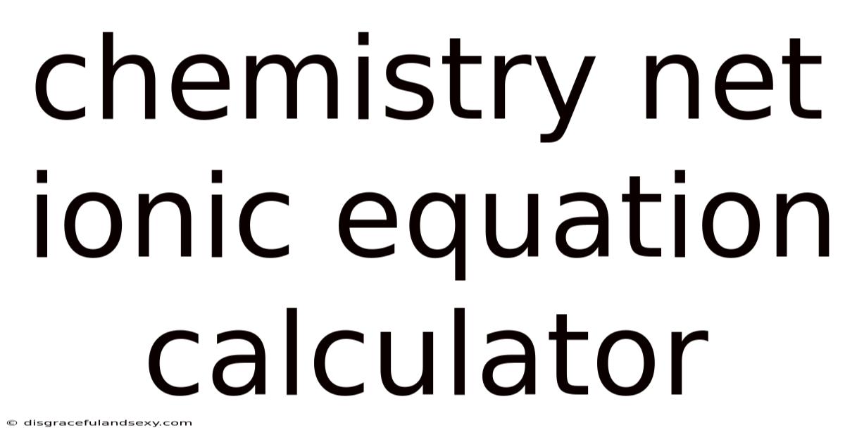 Chemistry Net Ionic Equation Calculator