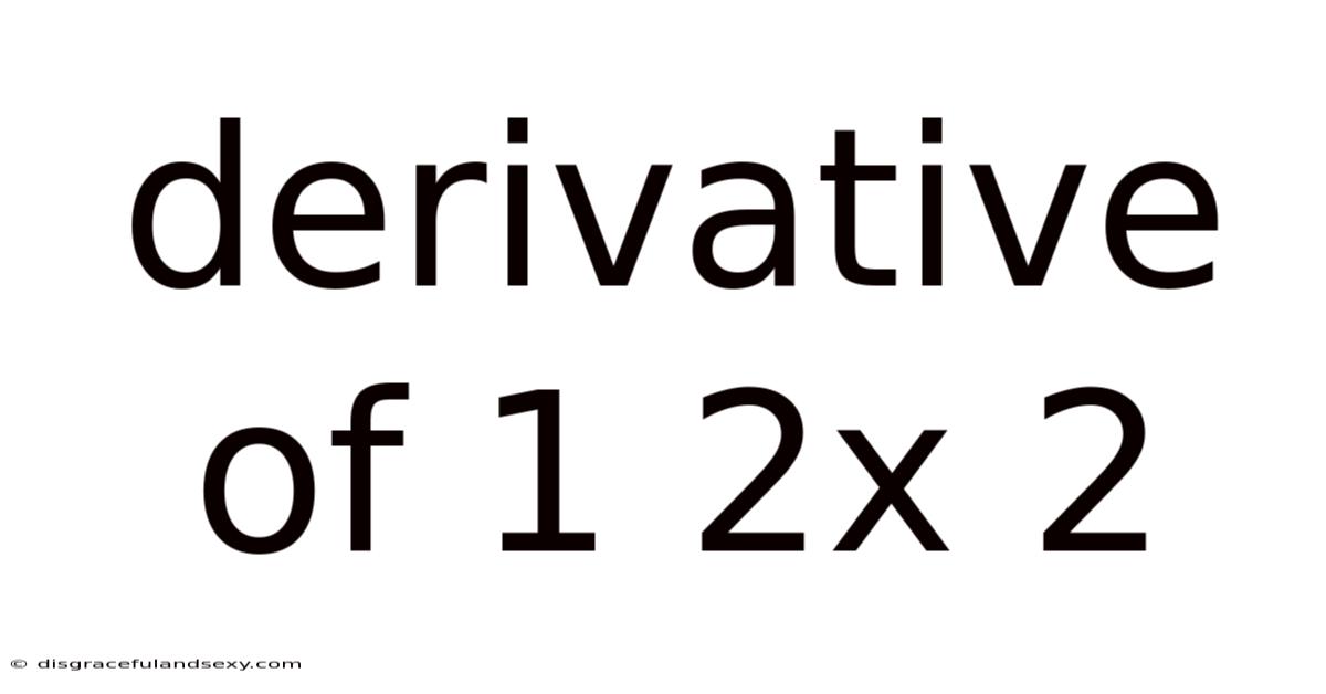 Derivative Of 1 2x 2