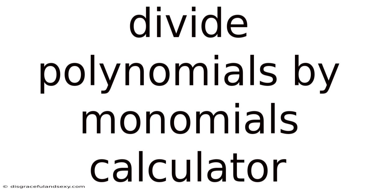 Divide Polynomials By Monomials Calculator