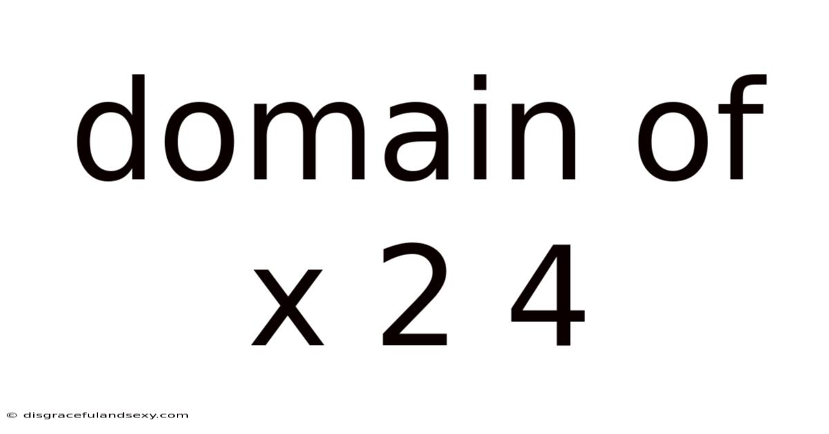 Domain Of X 2 4