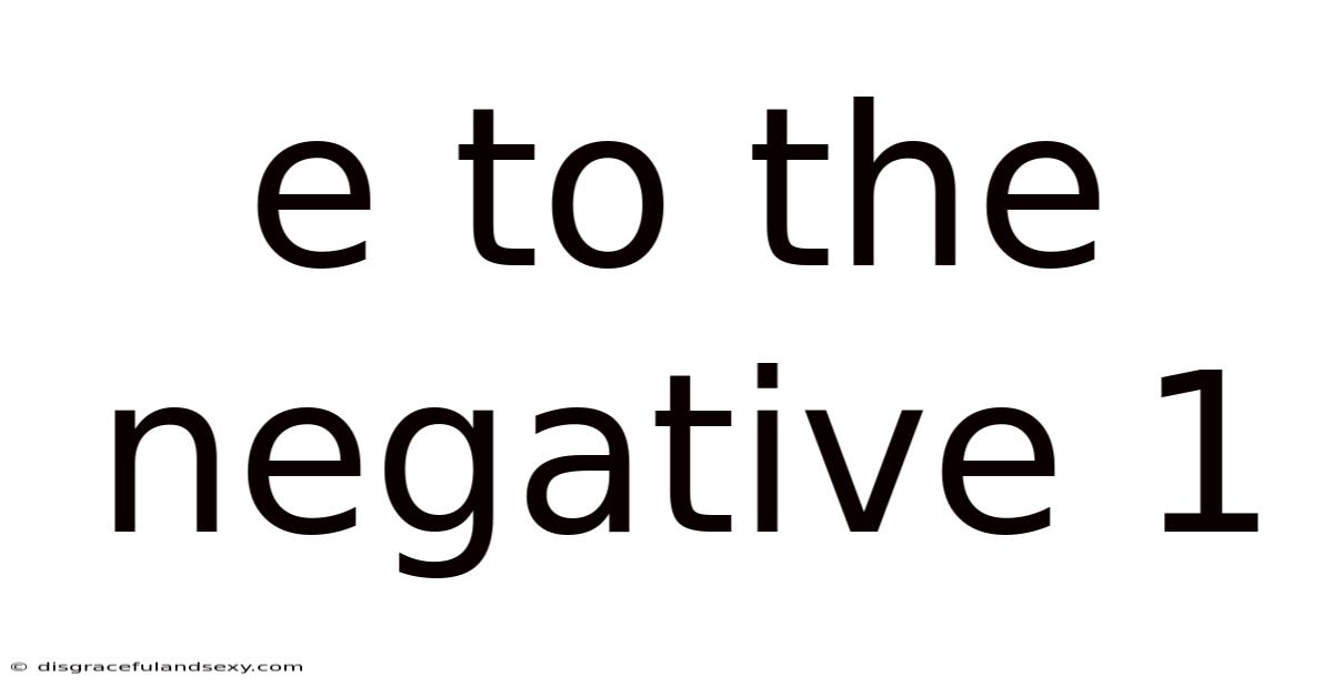 E To The Negative 1