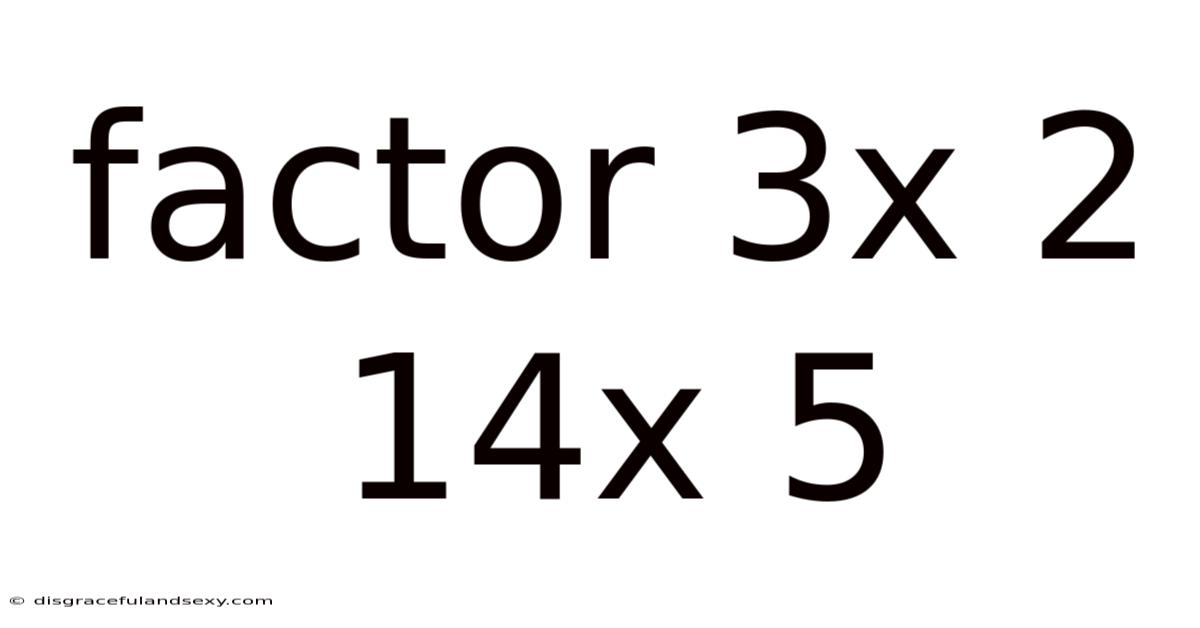 Factor 3x 2 14x 5