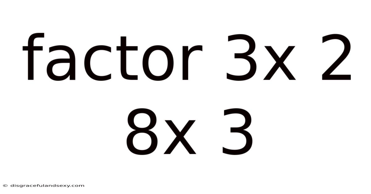 Factor 3x 2 8x 3