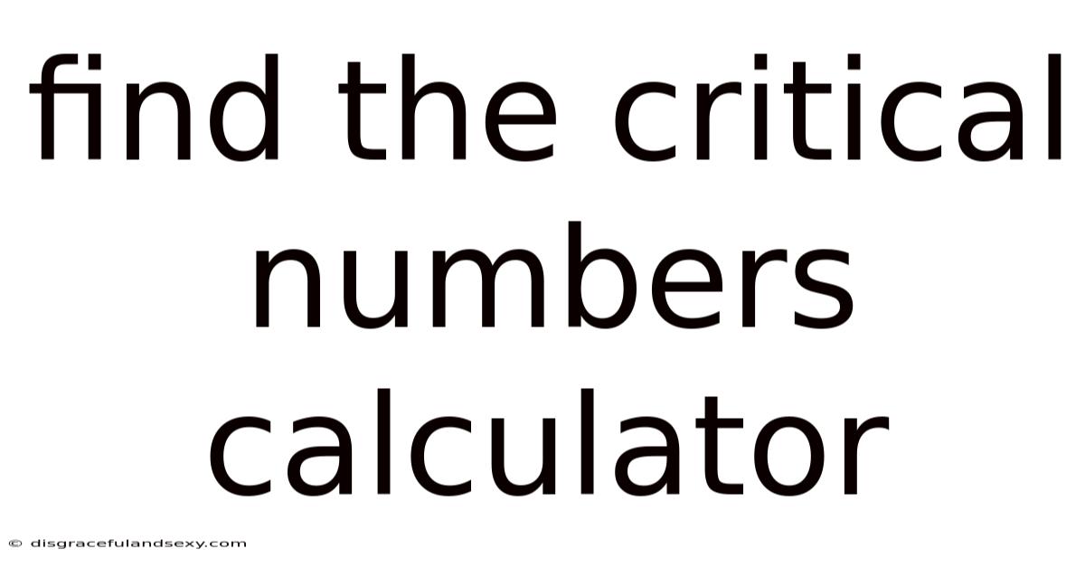 Find The Critical Numbers Calculator