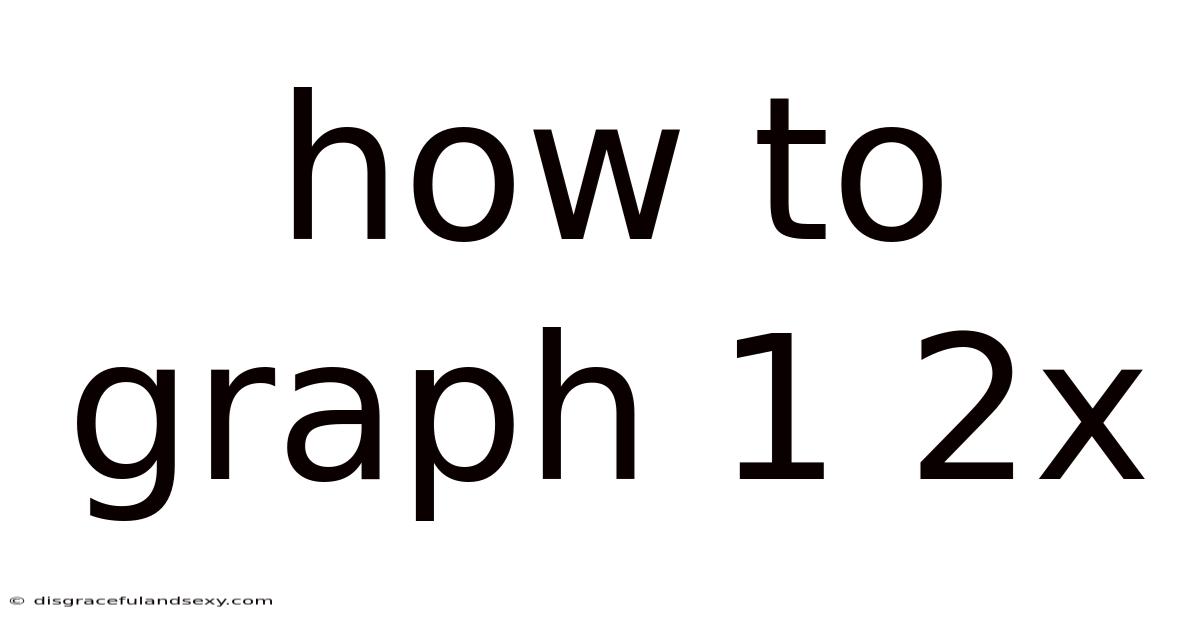 How To Graph 1 2x