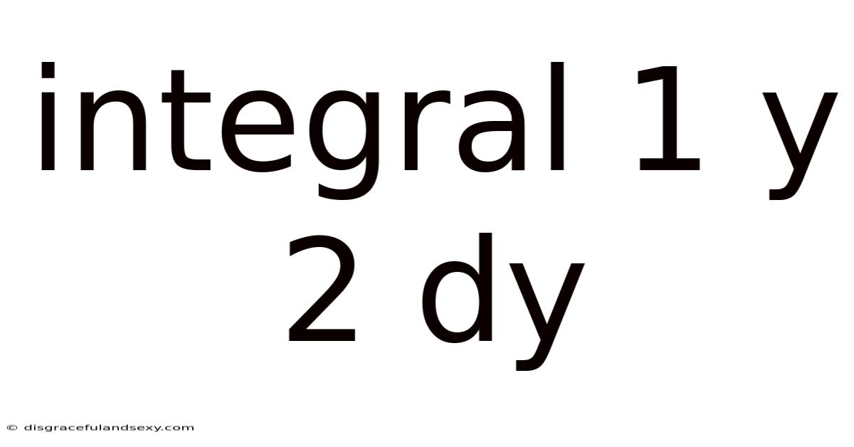 Integral 1 Y 2 Dy