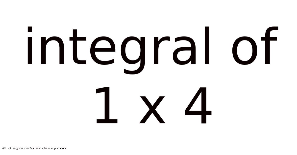 Integral Of 1 X 4