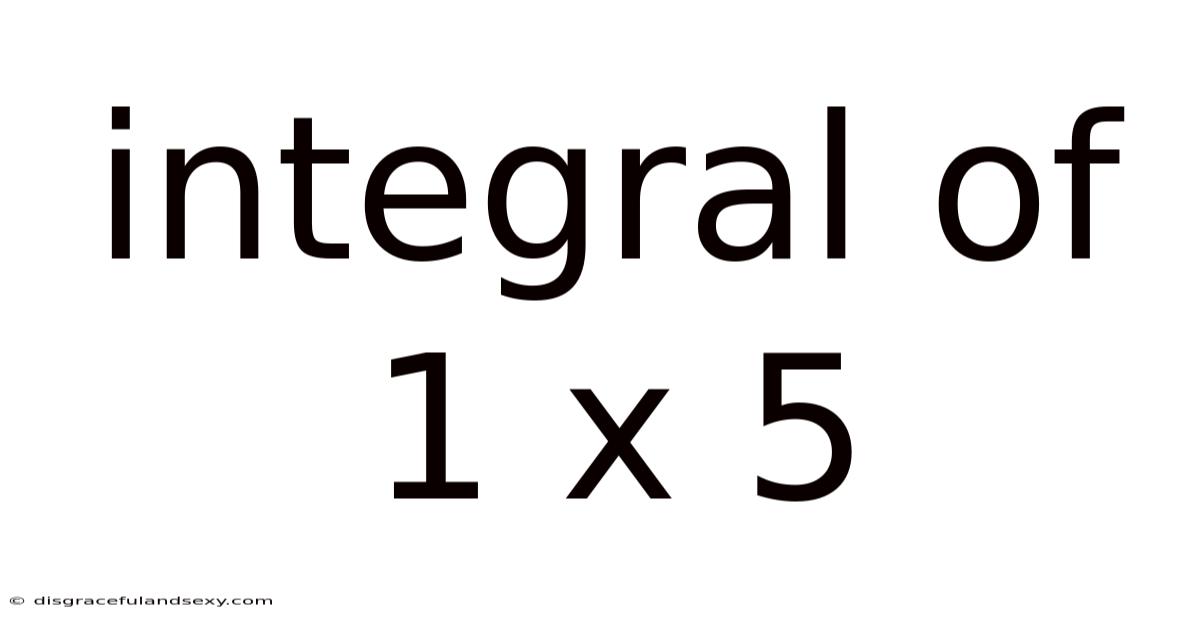 Integral Of 1 X 5