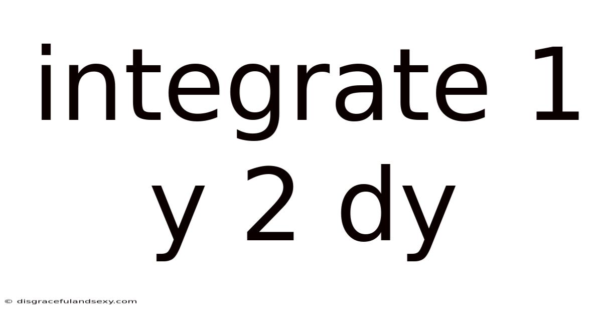 Integrate 1 Y 2 Dy