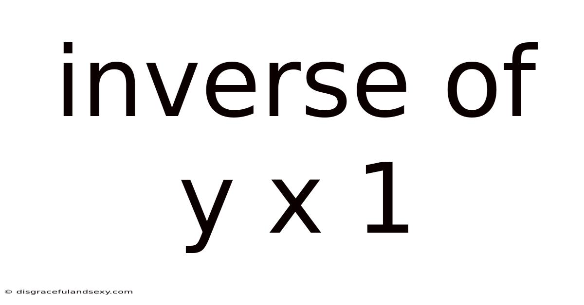 Inverse Of Y X 1