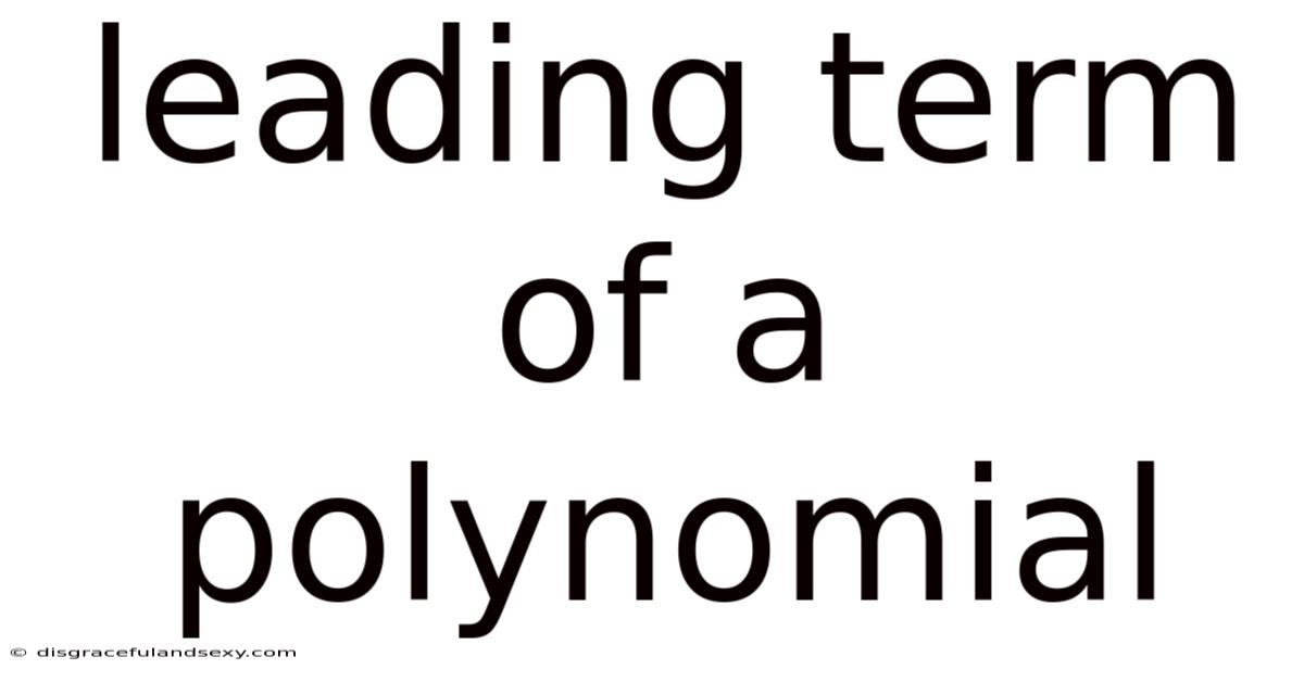 Leading Term Of A Polynomial