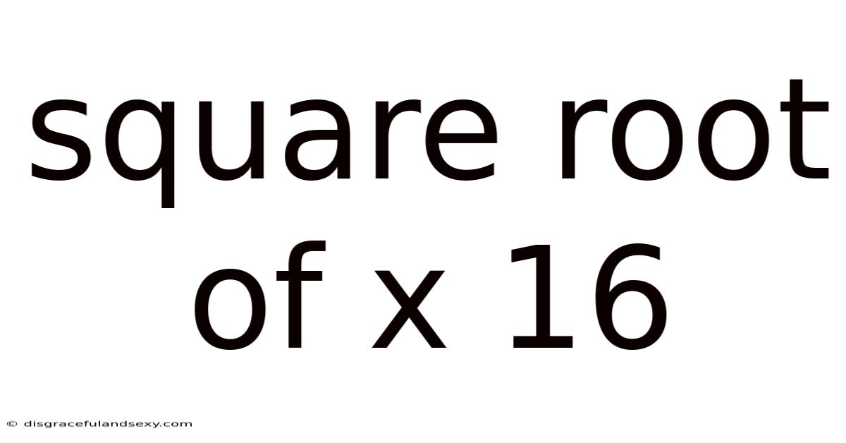 Square Root Of X 16
