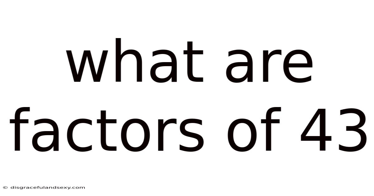 What Are Factors Of 43