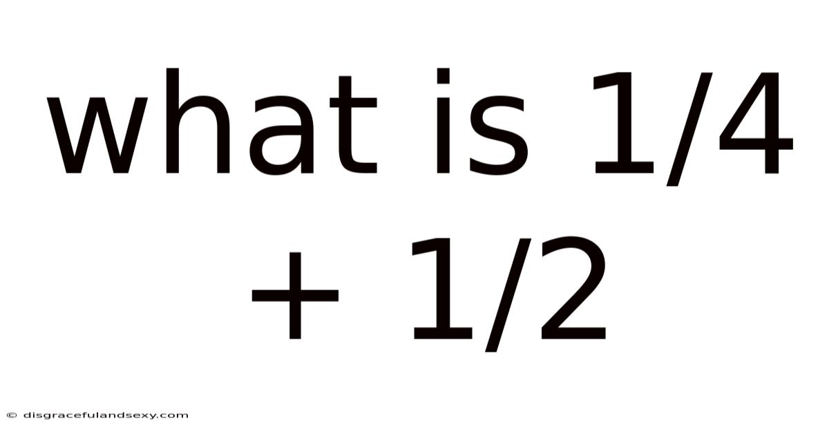 What Is 1/4 + 1/2