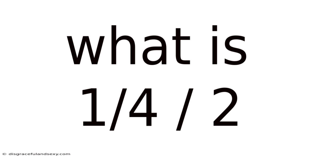 What Is 1/4 / 2