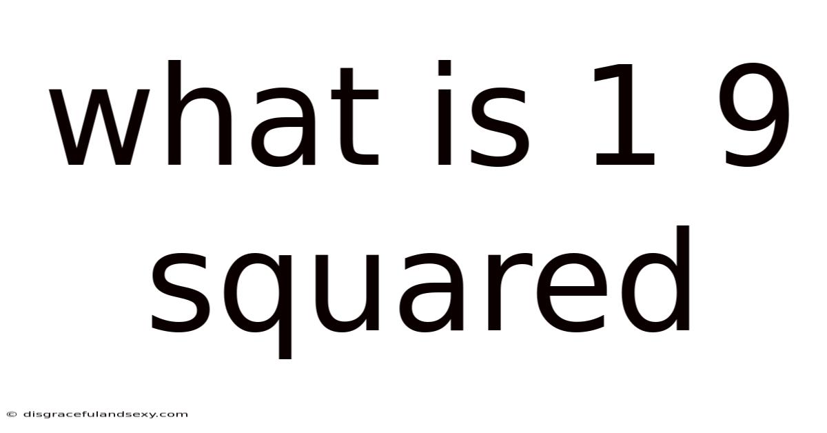 What Is 1 9 Squared