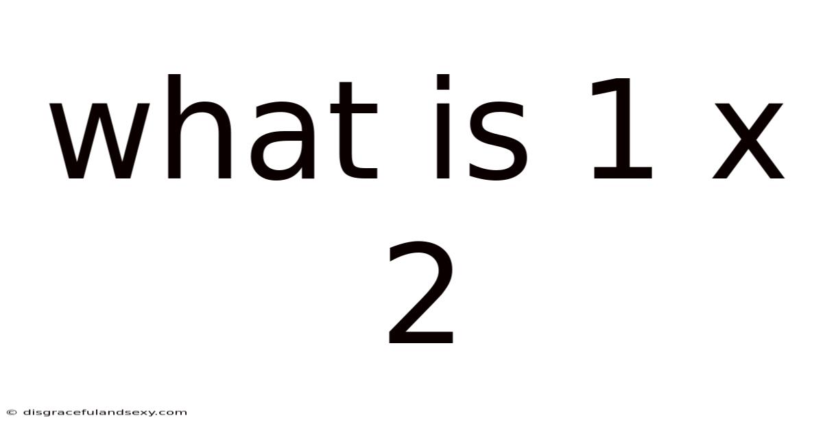 What Is 1 X 2
