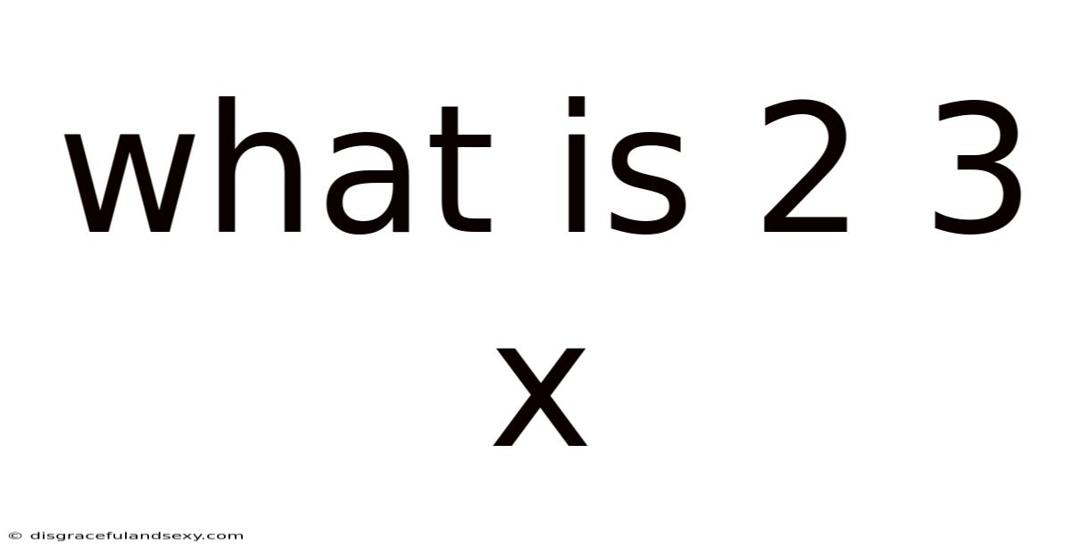 What Is 2 3 X