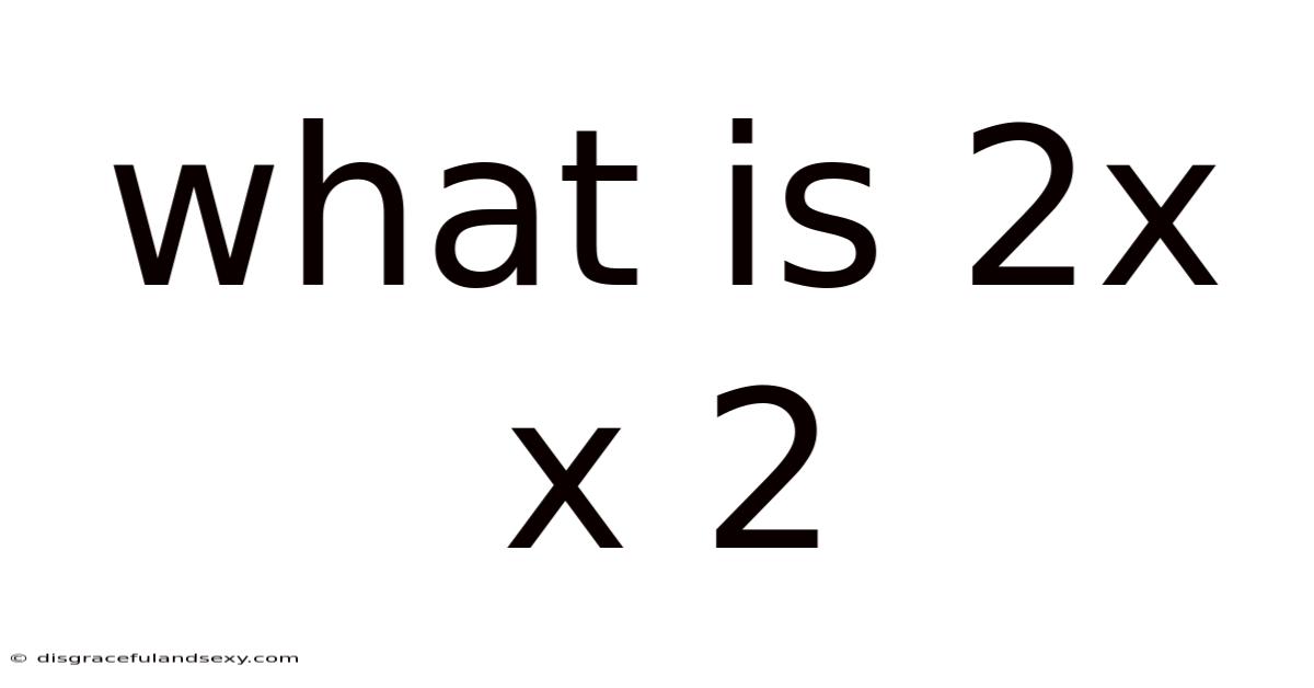 What Is 2x X 2