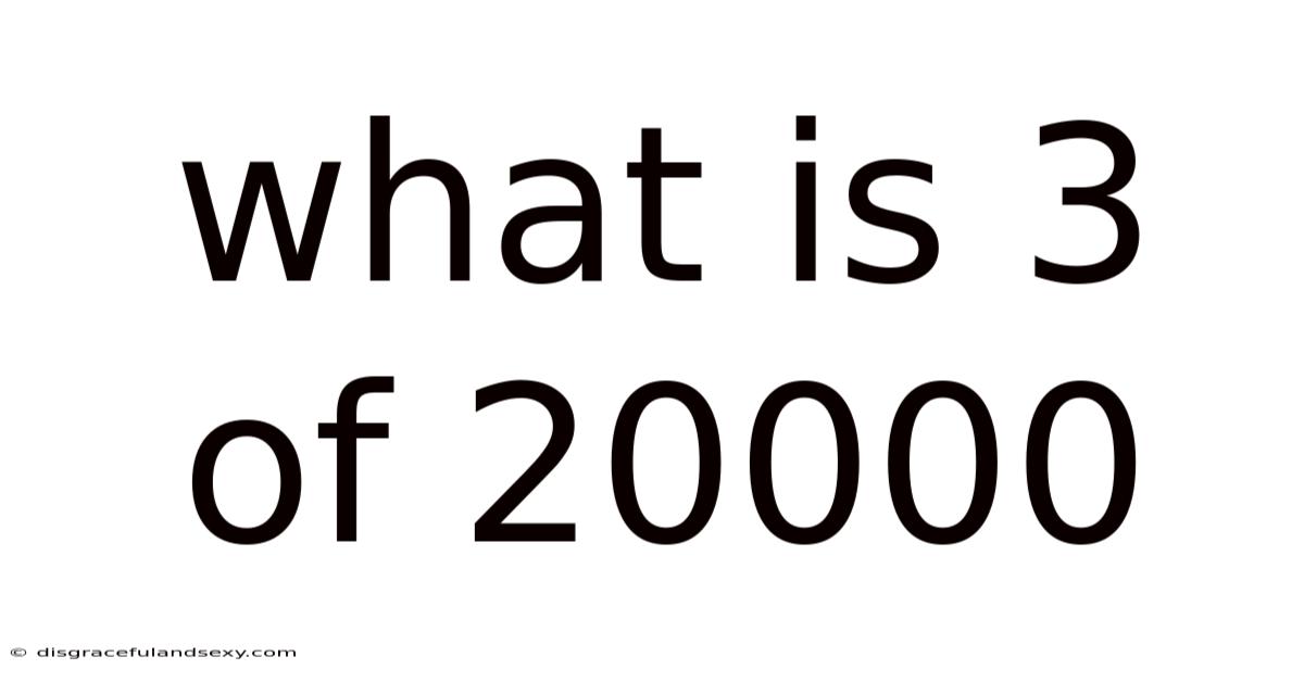 What Is 3 Of 20000