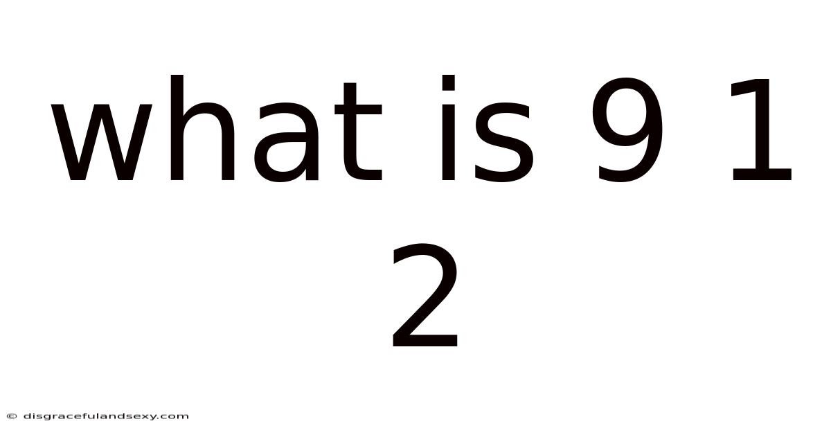 What Is 9 1 2