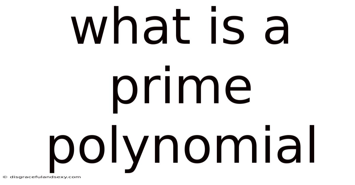What Is A Prime Polynomial